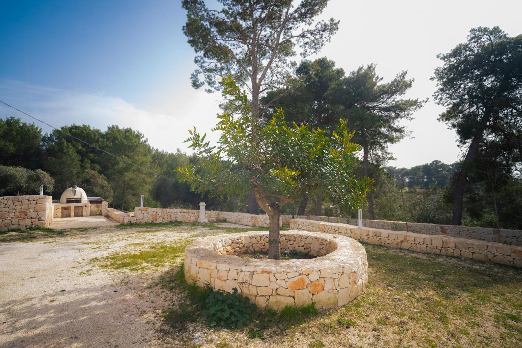 Trulli Magda Vila Martina Franca Exterior foto
