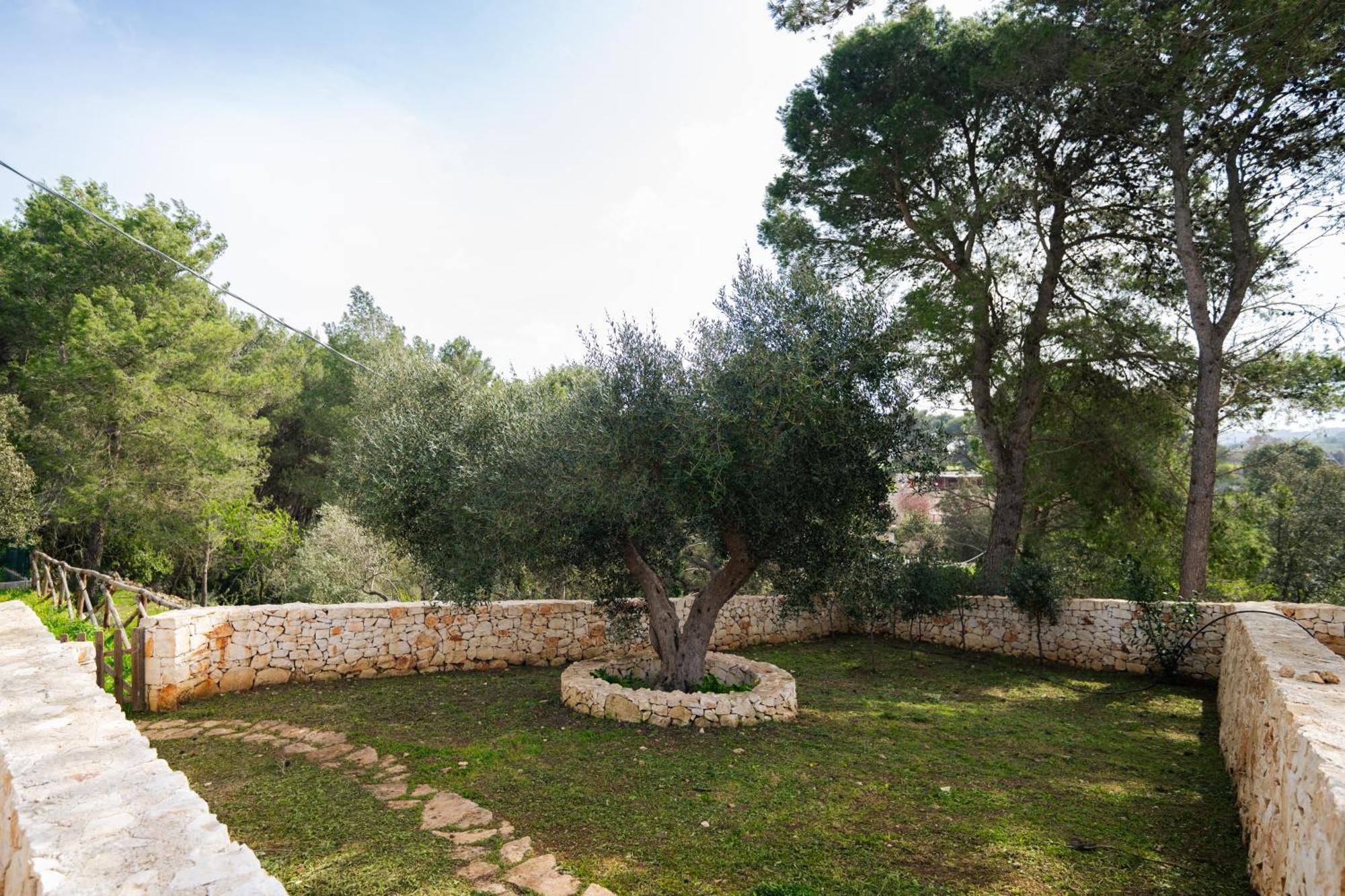 Trulli Magda Vila Martina Franca Exterior foto